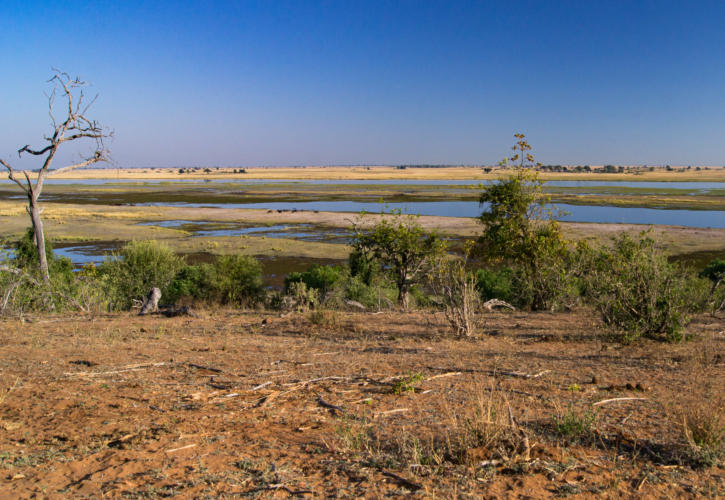 Chobe Nationalpark - Blick auf den Chobe-Fluss