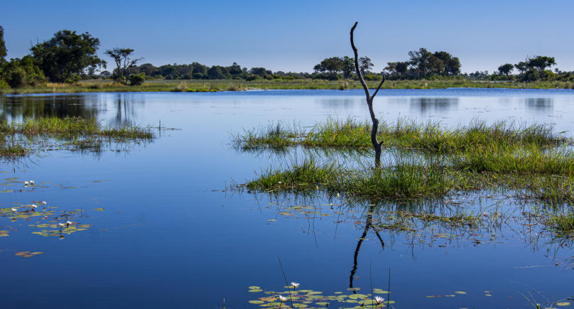 Mitten im Okavango-Delta