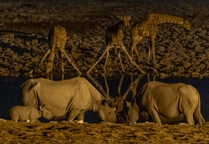 Etosha Nationalpark