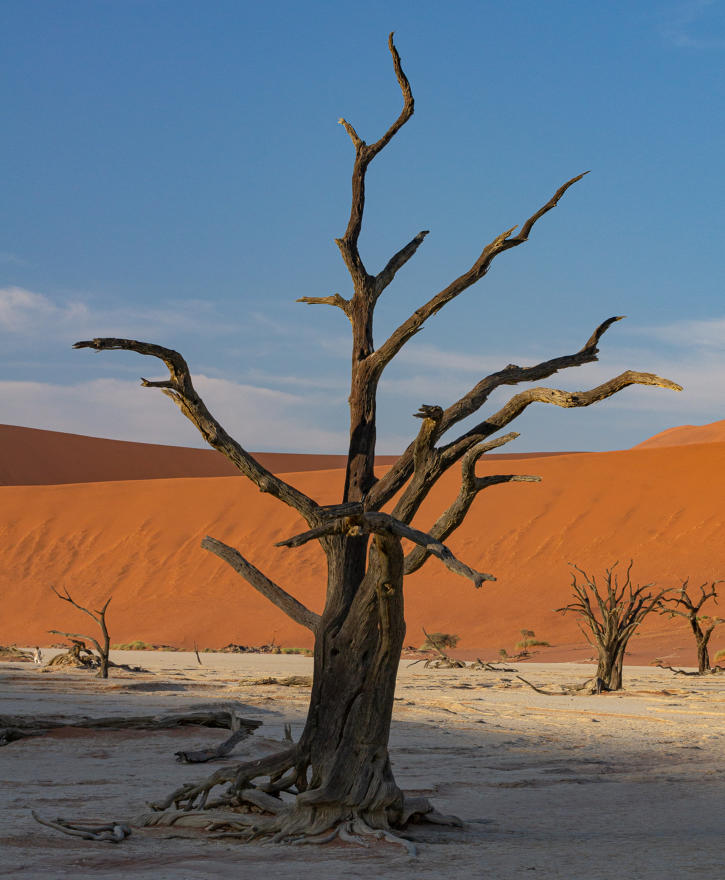 Deadvlei