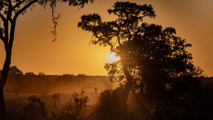 Outer Kruger - Sonnenuntergang im Umlani  Game Reserve/Timbavati
