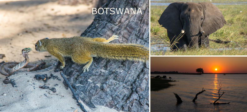 BOTSWANA
