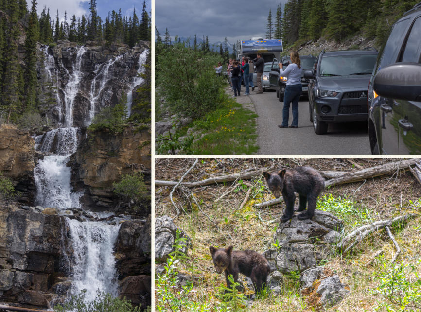 Sunwapta Falls & Jasper NP