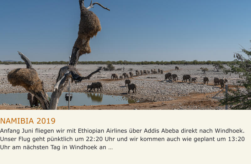 NAMIBIA 2019 Anfang Juni fliegen wir mit Ethiopian Airlines über Addis Abeba direkt nach Windhoek. Unser Flug geht pünktlich um 22:20 Uhr und wir kommen auch wie geplant um 13:20 Uhr am nächsten Tag in Windhoek an …