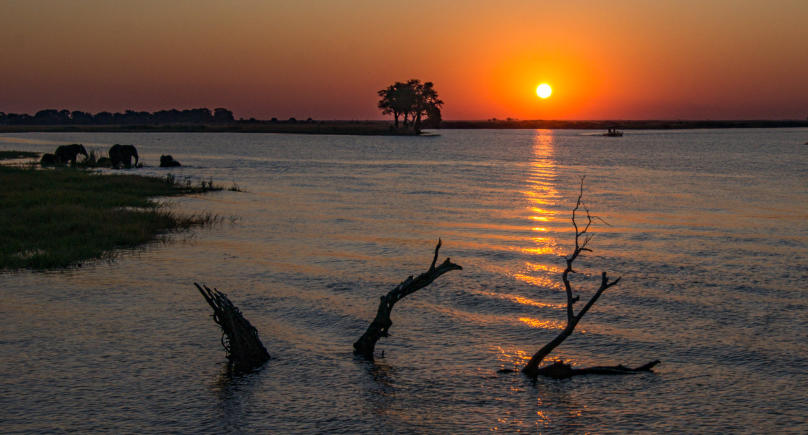 Elefanten im Sonnenuntergang am Chobe Fluss