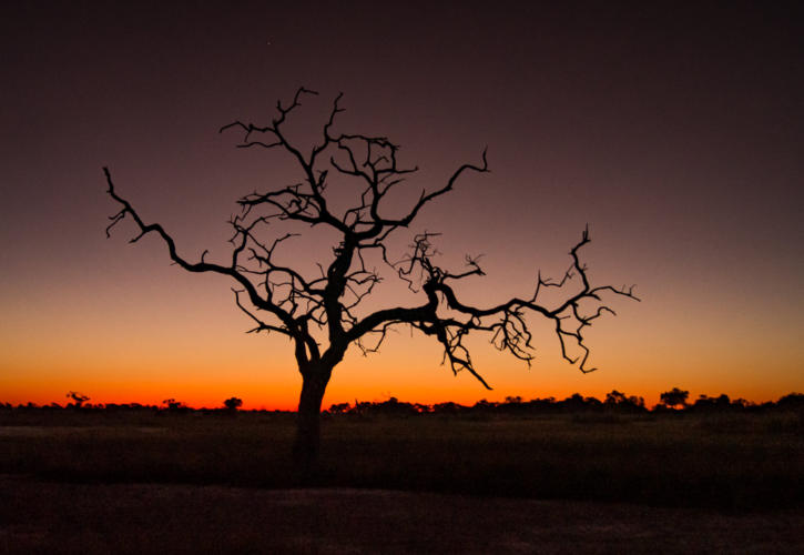 Sonnenuntergang im Okavango Delta