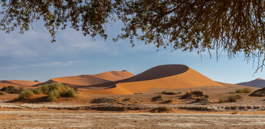 Dünen der Namib