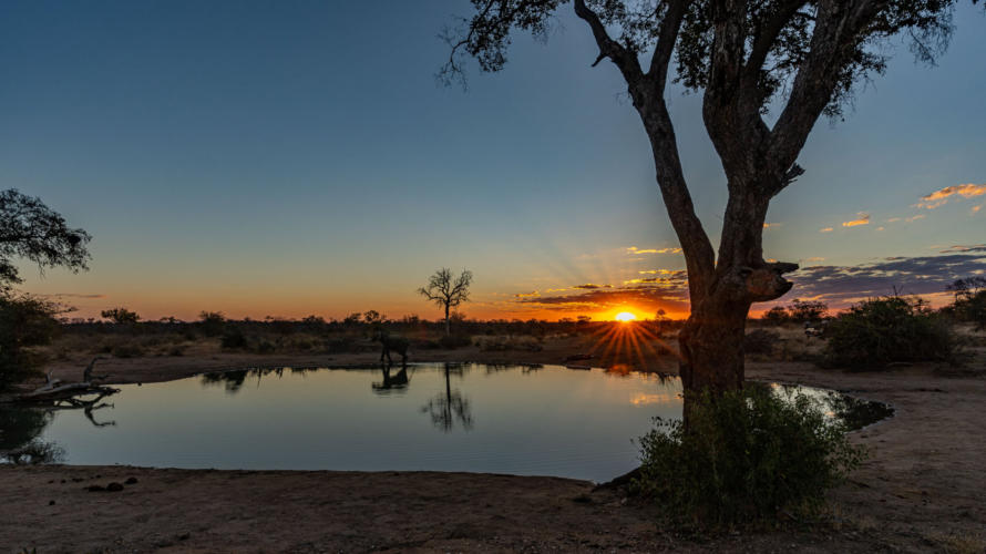 Sonnenuntergang am Wasserloch