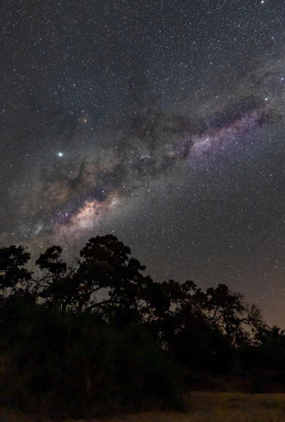 Milchstraße über Timbavati