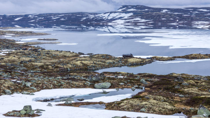 Hardangervidda