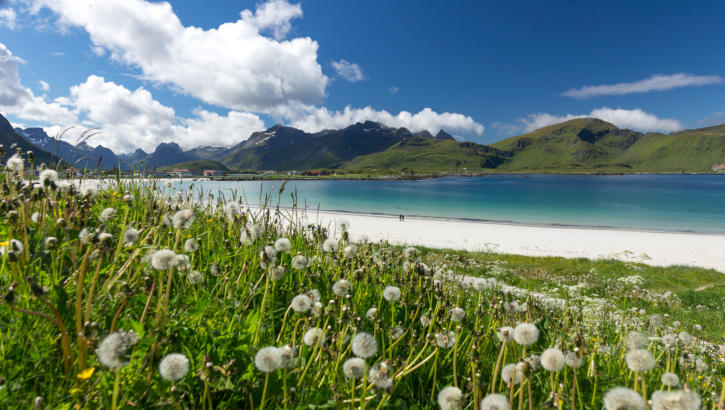 Lofoten - Strand von Ramberg