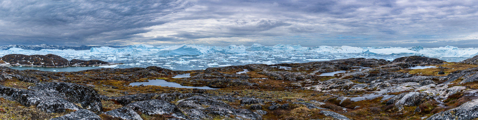 Blick auf den Icefiord vom Gelben Pfad