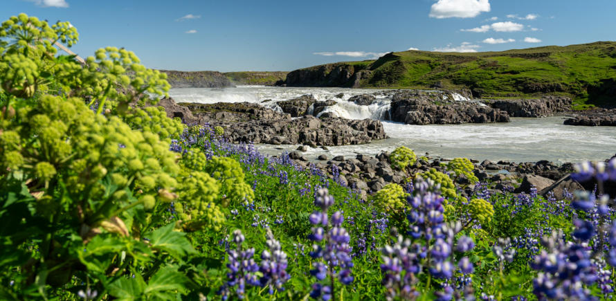 Uriddafoss
