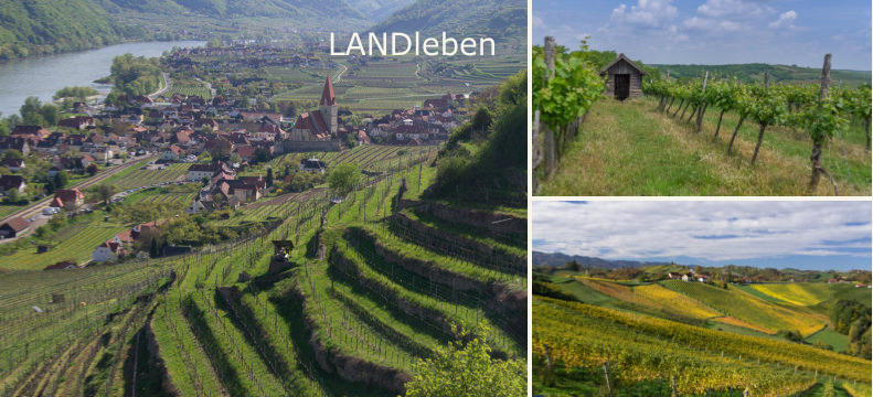 LANDleben