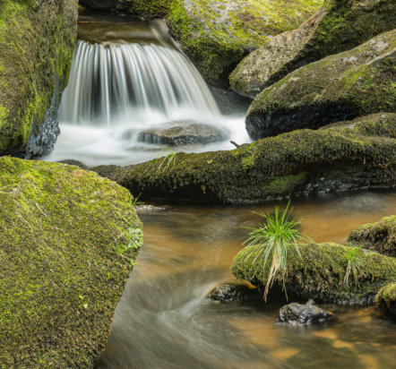 Lohnbachfall