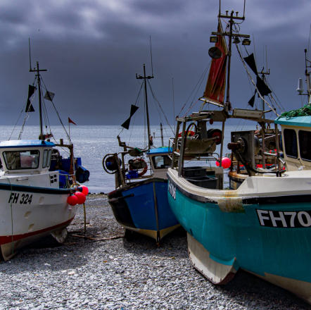 Fischerboot im Hafen von Cadgwith