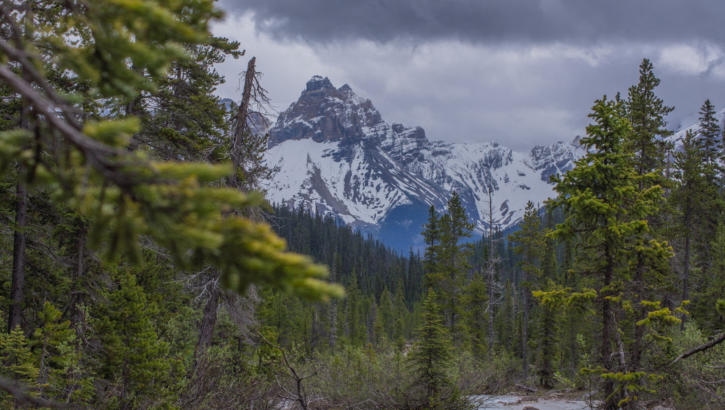 Yoho Nationalpark