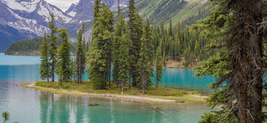 Spirit Island