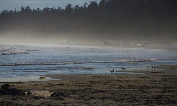 Pacific Rim National Park