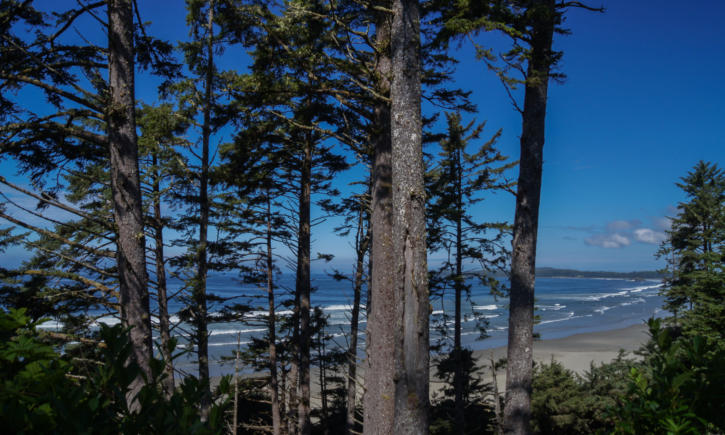 Pacific Rim National Park