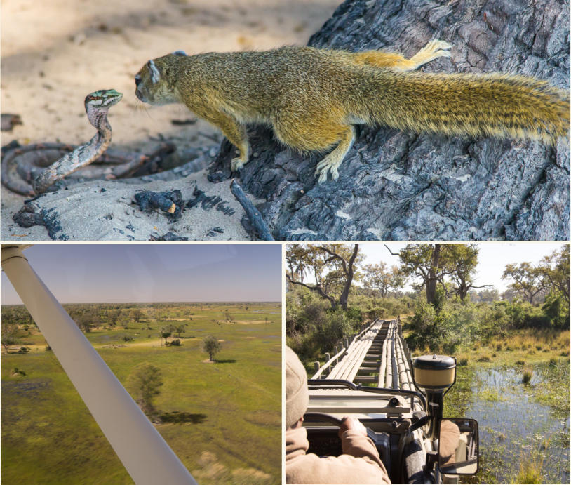 Okavango Delta