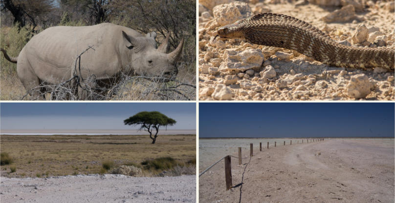 Etosha Nationalpark