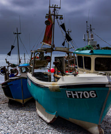Kynance Cove & Cadgwith