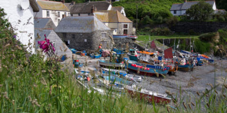 Kynance Cove & Cadgwith
