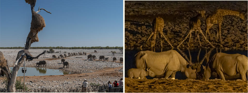 Etosha Nationalpark