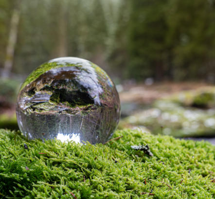 Landschaft im Waldviertel durch die Glaskugel