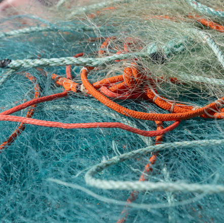 Fischernetz