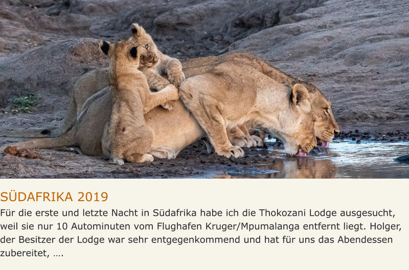 SÜDAFRIKA 2019 Für die erste und letzte Nacht in Südafrika habe ich die Thokozani Lodge ausgesucht, weil sie nur 10 Autominuten vom Flughafen Kruger/Mpumalanga entfernt liegt. Holger, der Besitzer der Lodge war sehr entgegenkommend und hat für uns das Abendessen zubereitet, ….