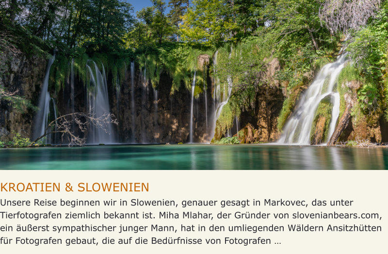 KROATIEN & SLOWENIEN Unsere Reise beginnen wir in Slowenien, genauer gesagt in Markovec, das unter Tierfotografen ziemlich bekannt ist. Miha Mlahar, der Gründer von slovenianbears.com, ein äußerst sympathischer junger Mann, hat in den umliegenden Wäldern Ansitzhütten für Fotografen gebaut, die auf die Bedürfnisse von Fotografen …