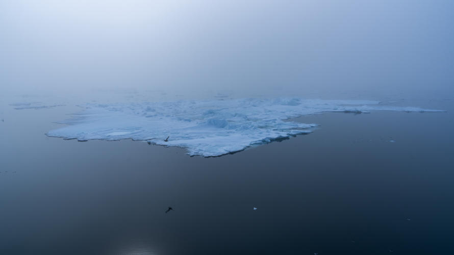 Treibeis bei mystischem Nebel